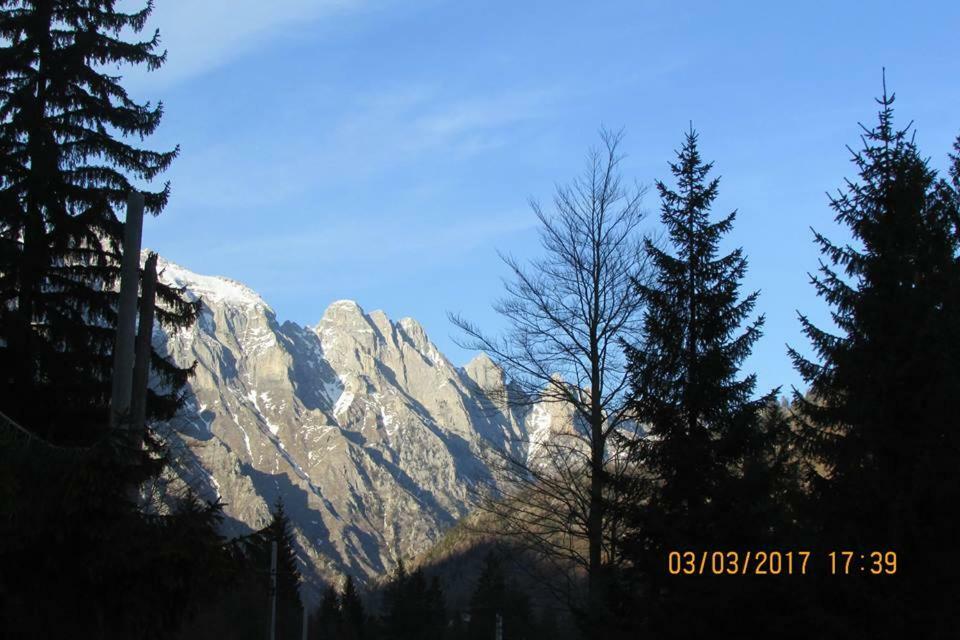Valbona Eco Camping 호텔 외부 사진