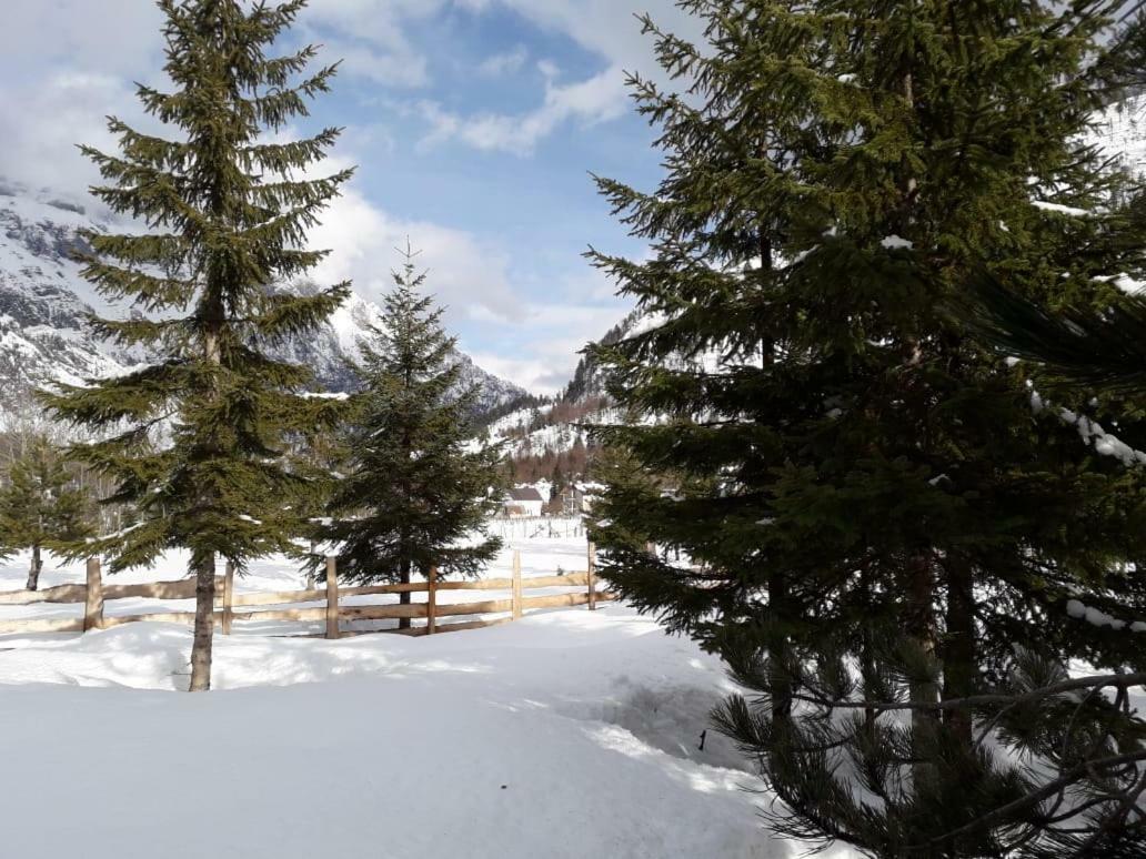 Valbona Eco Camping 호텔 외부 사진